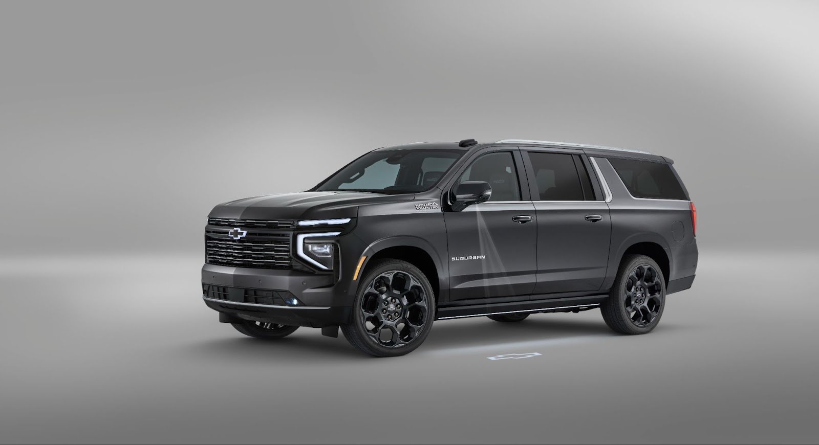 Professional Chauffeur